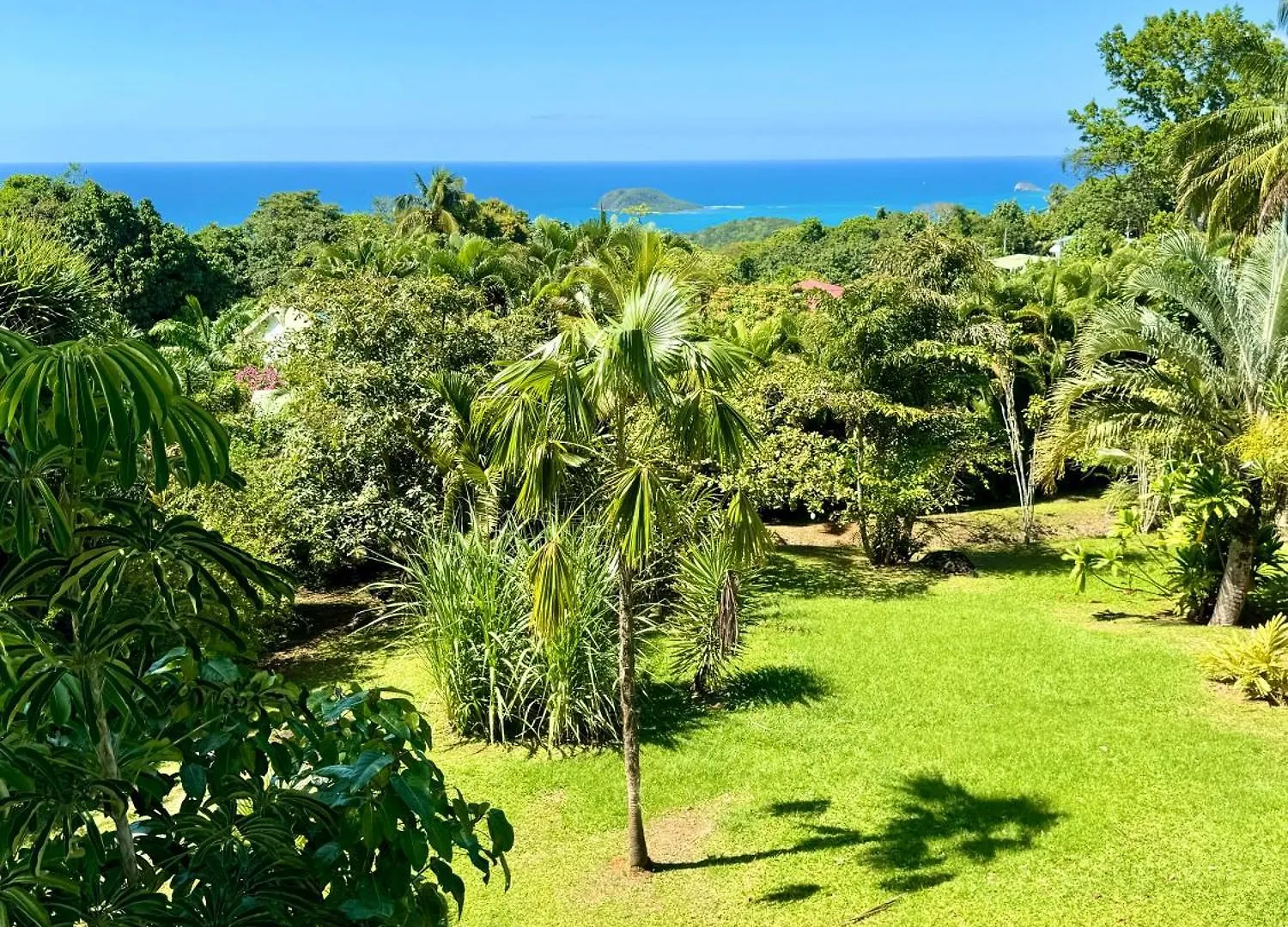 Magnifique Villa Vue Sur Mer Tout Confort Avec Piscine, 5 Chambres - Proche Plages デエエ グアドループ